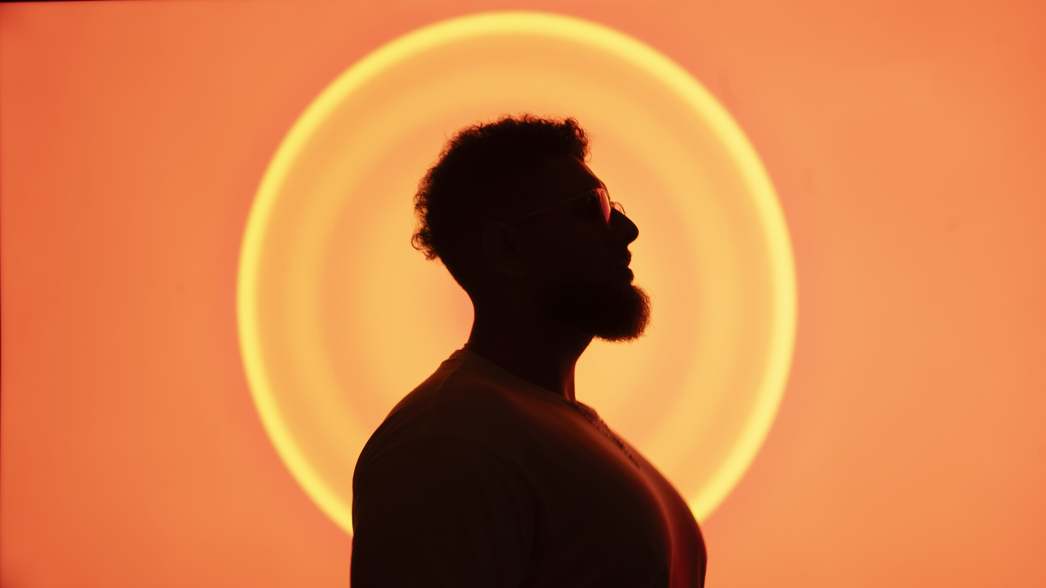 Artist silhouette